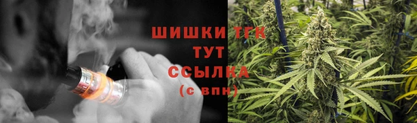 спиды Белокуриха