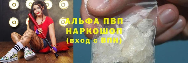 прущие грибы Беломорск