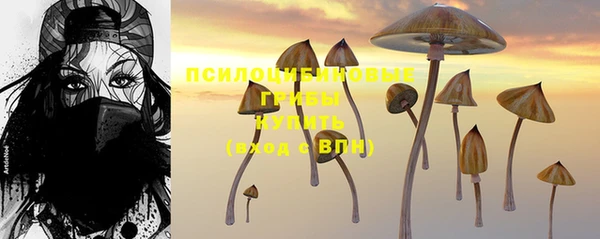 спиды Белокуриха