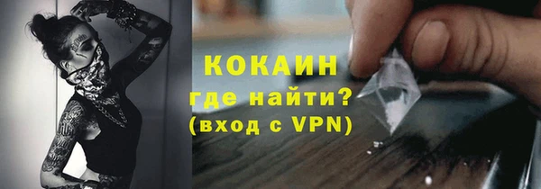 прущие грибы Беломорск