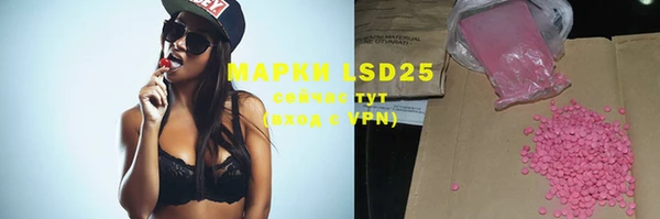 прущие грибы Беломорск