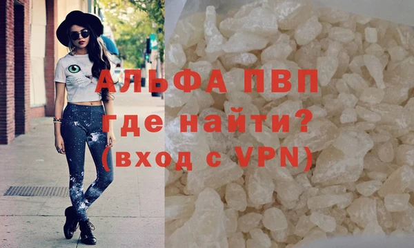 прущие грибы Беломорск