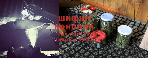 прущие грибы Беломорск