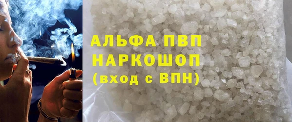 прущие грибы Беломорск